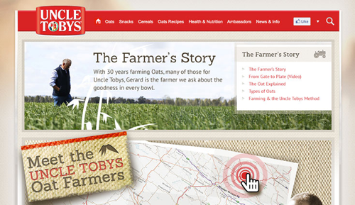 Thumbnail image of web project on SilverStripe